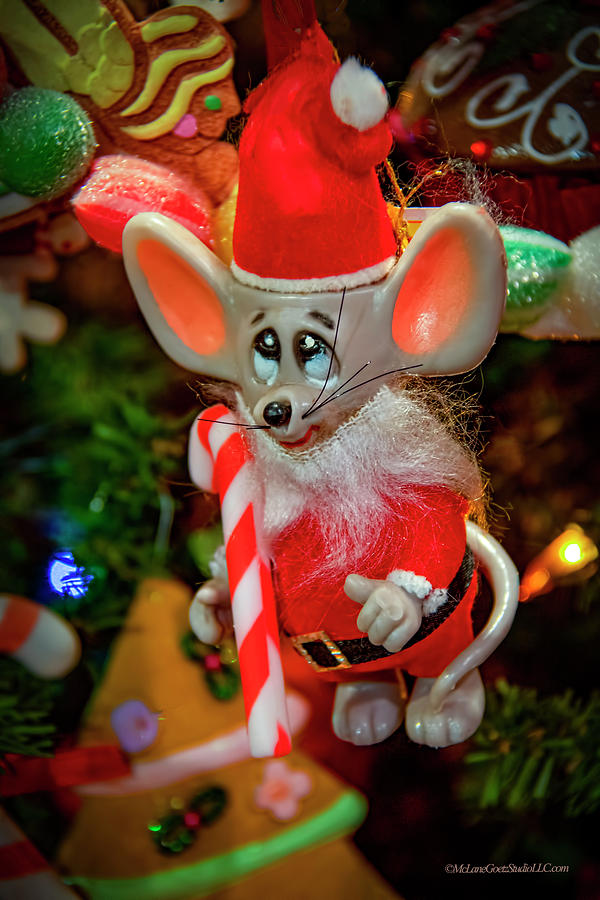 Christmas Mouse Photograph
