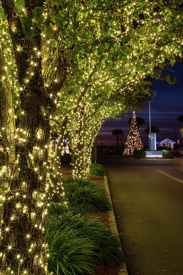 Christmas on Centre Street, Fernandina Beach, Florida Photograph by Dawna Moore Photography