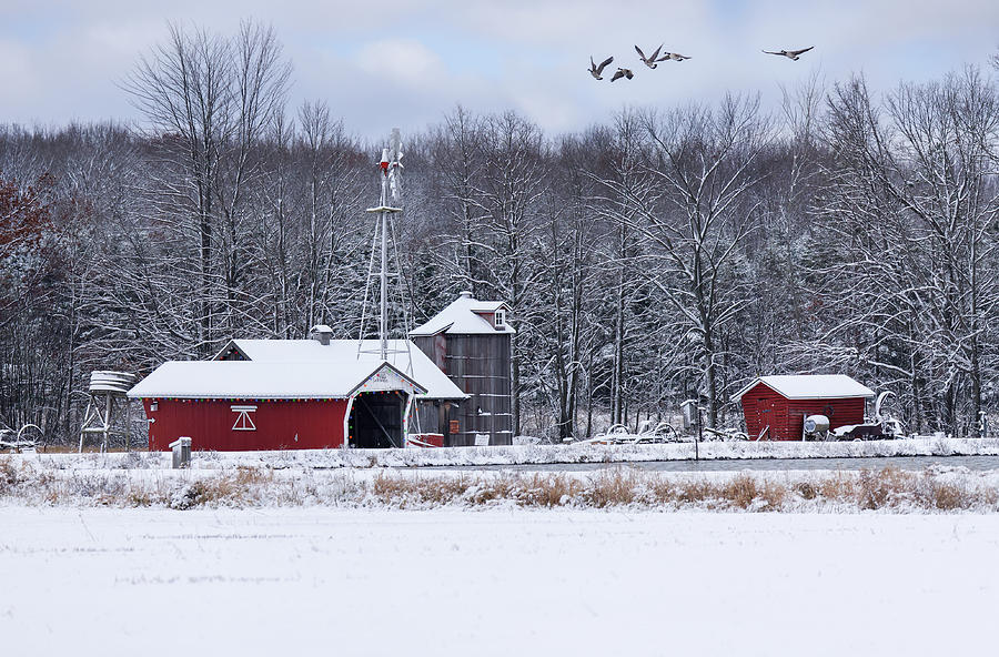 Christmas on Hass Town Photograph by Brook Burling