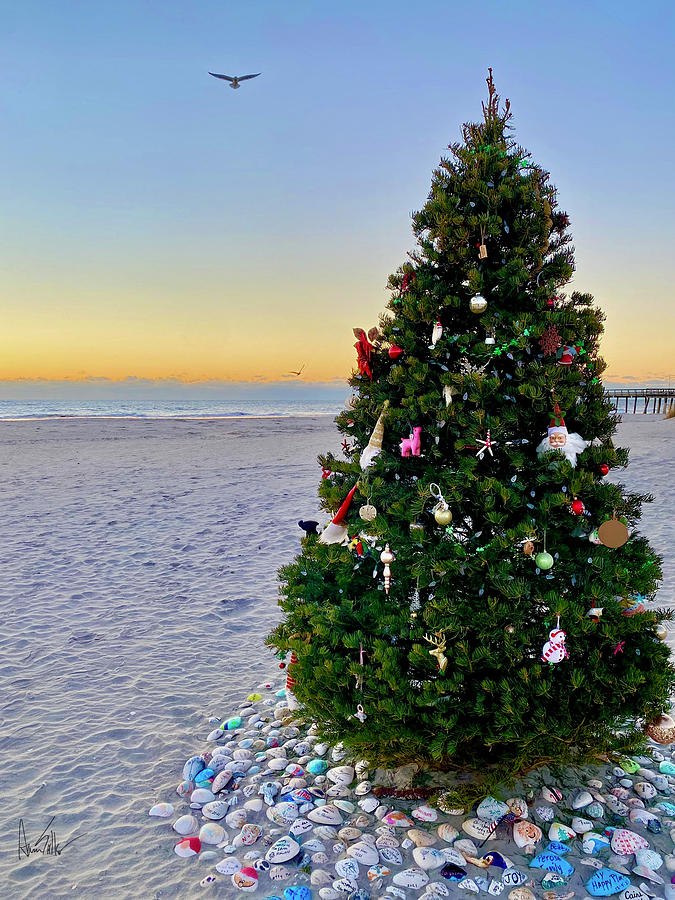 Christmas on the Beach Photograph by Aaron Salko