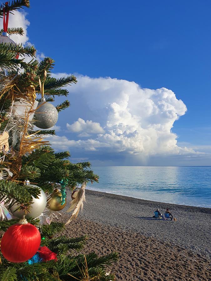Christmas on the Beach Photograph by Andrea Whitaker