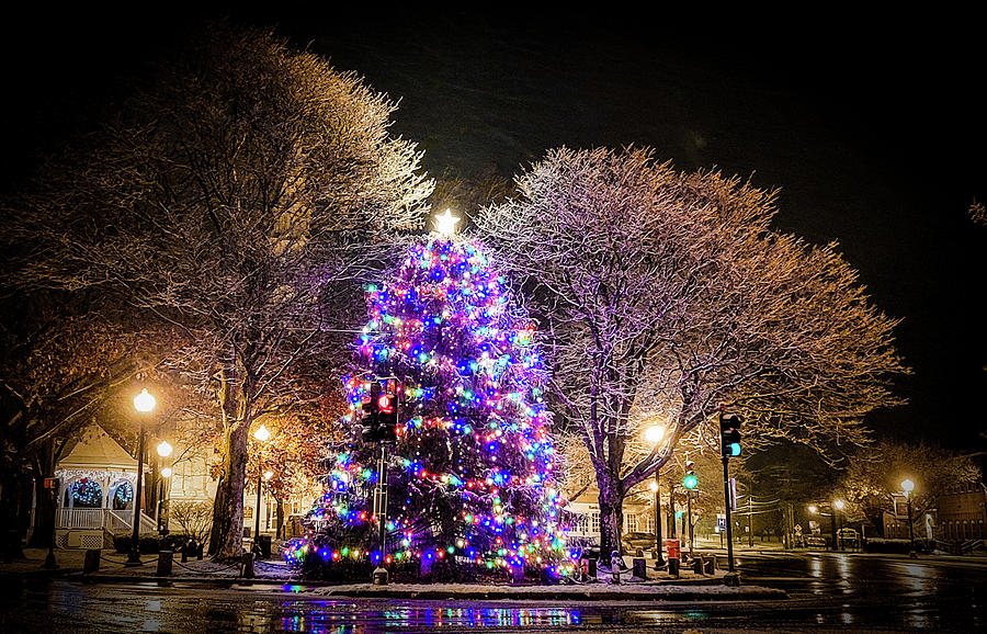 Christmas on the Common Photograph by David Olmstead - Fine Art America