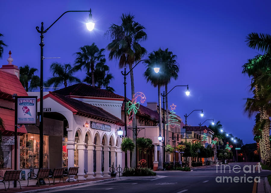 Christmas on Venice Avenue 2 Photograph by Liesl Walsh