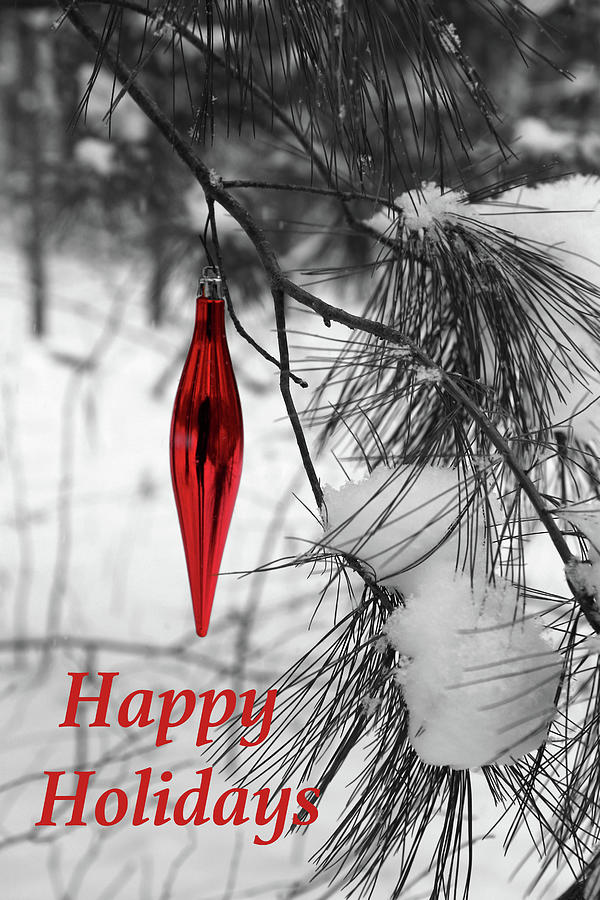 Christmas Ornament Pine River Trail card Photograph by Mary Bedy