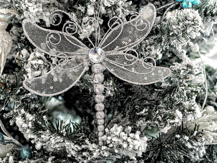 Christmas Ornaments 14 Photograph