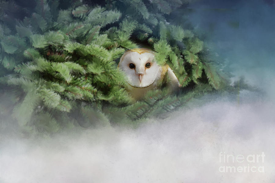 Peek-a-Boo Owl Photograph by Marilyn Wilson