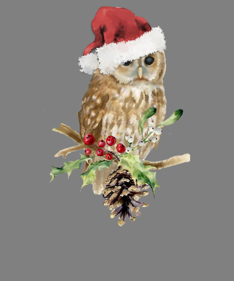 christmas owl painting