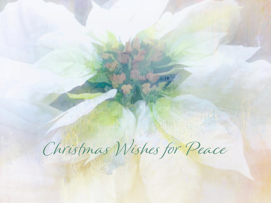 Christmas Peace Wish Digital Art by Terry Davis