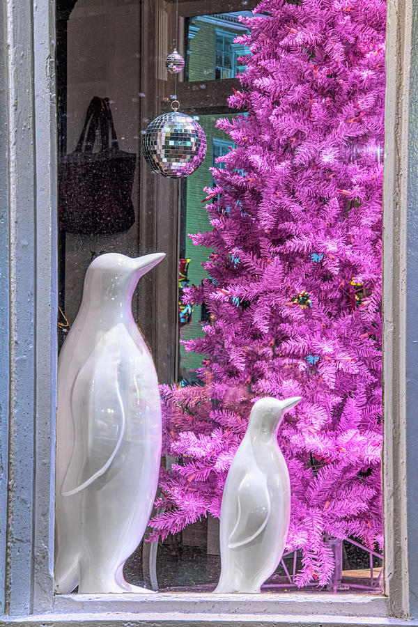 Christmas Penguins with Pink Tree Photograph by Kristia Adams