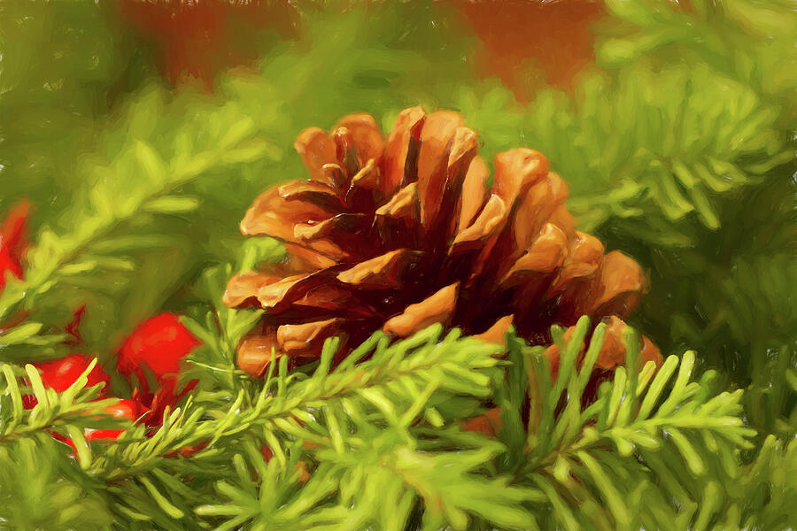 Christmas Pine Cone Photograph by Tanya C Smith