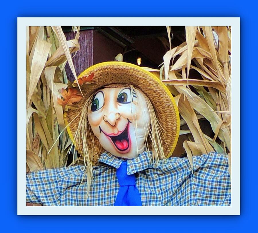 Christmas Place, Pigeon Forge TN - Scarecrow Hank Macro - Framed Photograph by Marian Bell