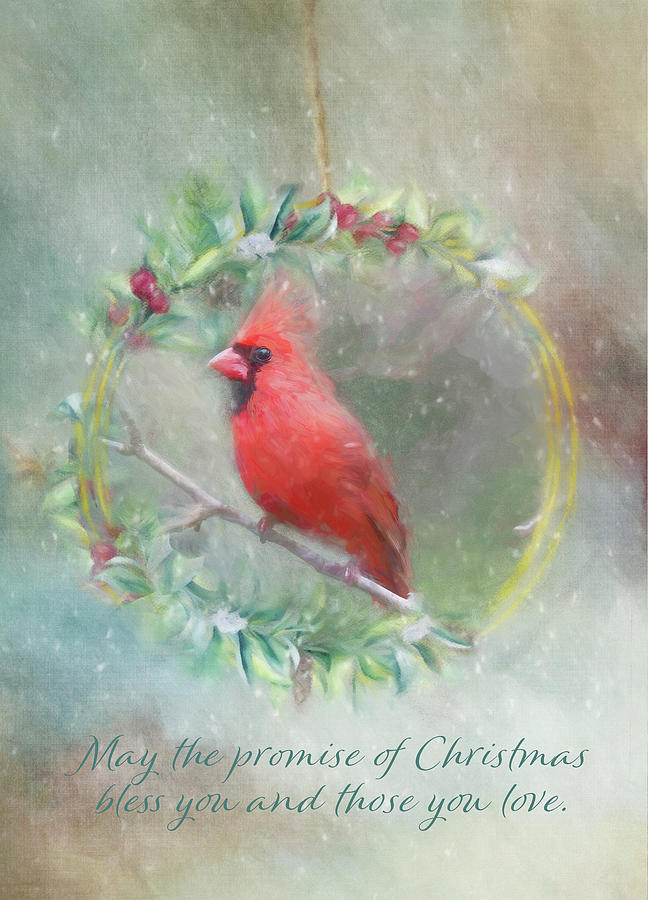 Christmas Promise Digital Art by Terry Davis