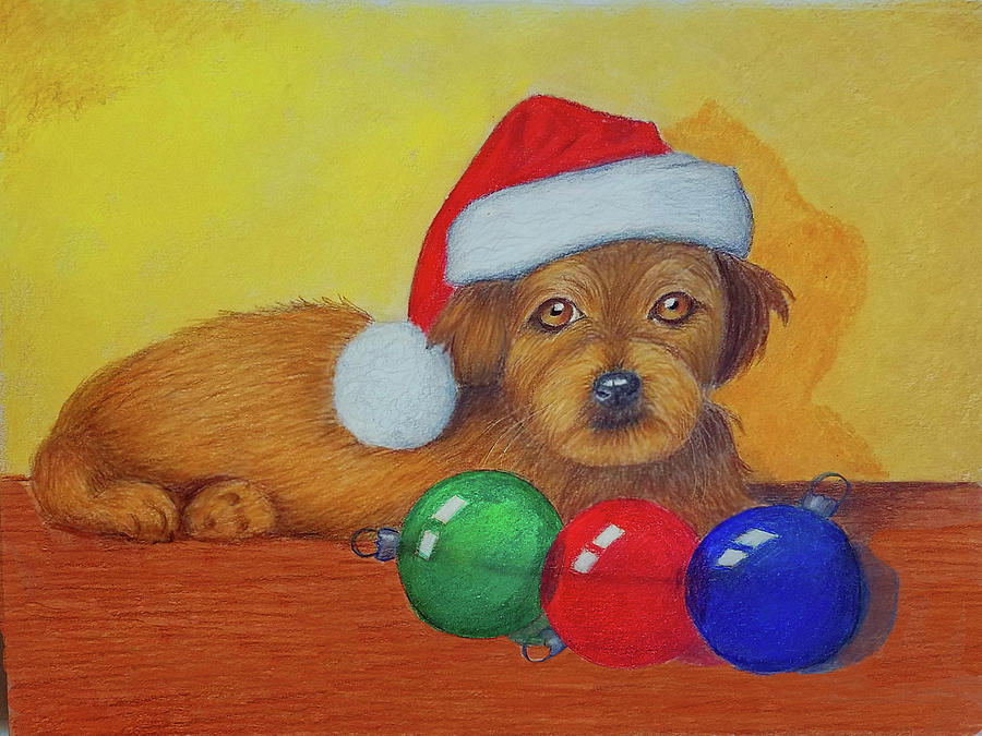 Christmas Pup Drawing by Lorraine Foster