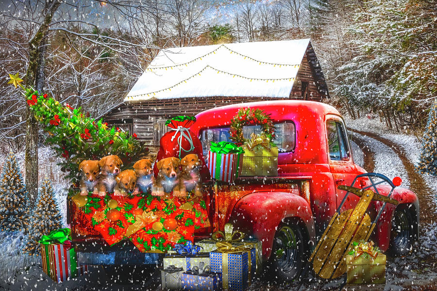 Christmas Puppies and Truck in the Snow Photograph by Debra and Dave Vanderlaan