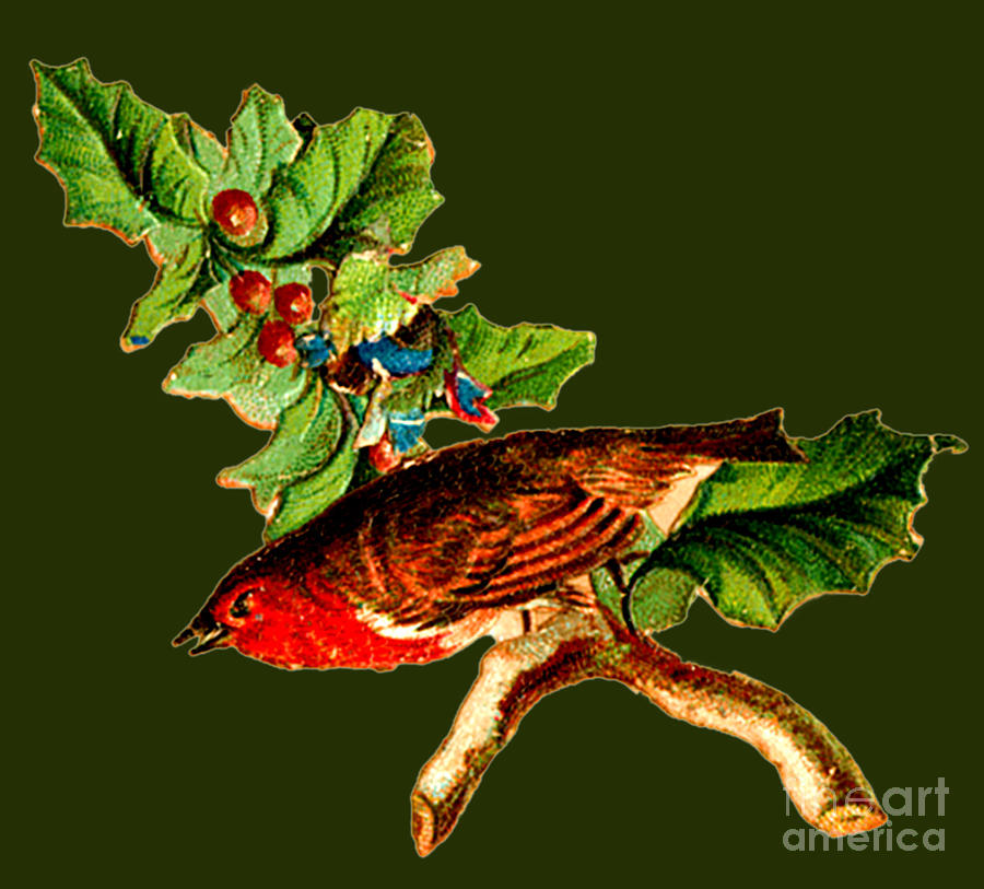 Christmas Robin With Holly Branch Painting