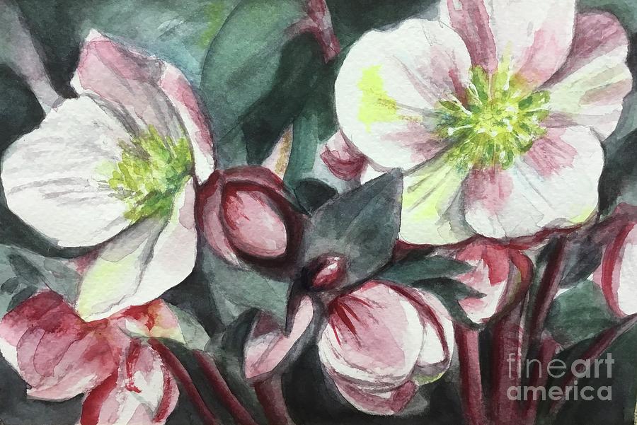 Christmas Rose Painting by Sonia Mocnik