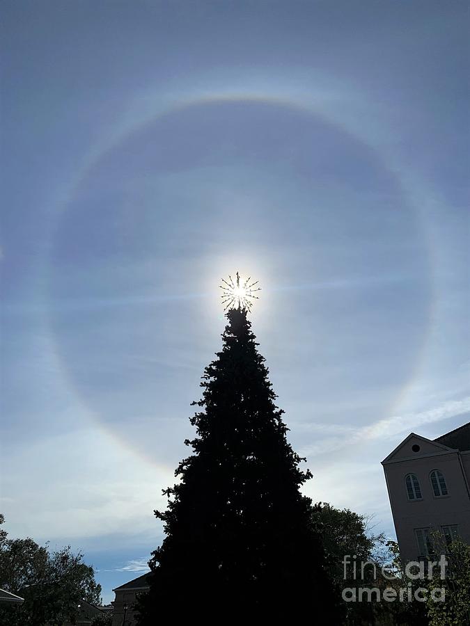 New Orleans Photograph - Christmas Halo Shinning Stars by Michael Hoard