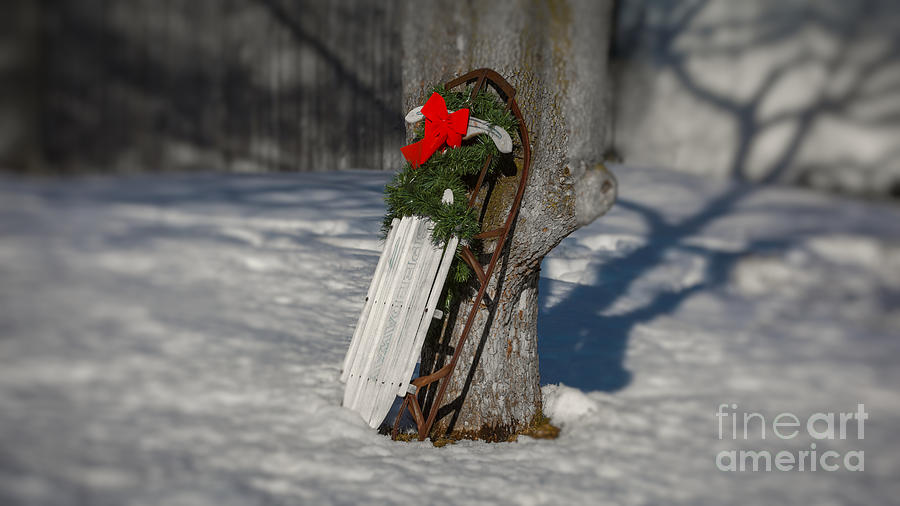 Christmas sled Photograph by Agnes Caruso