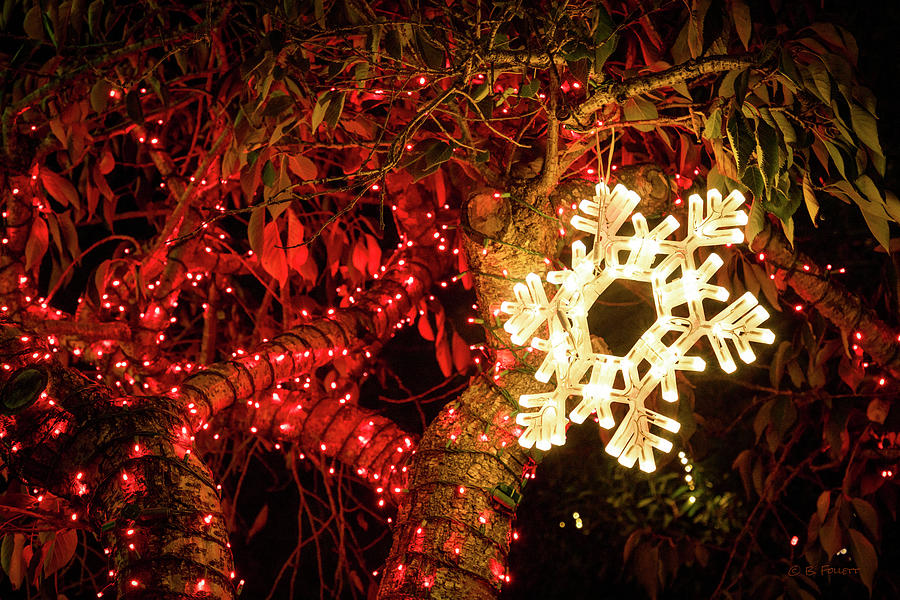 Christmas Snowflake Photograph by Bonnie Follett