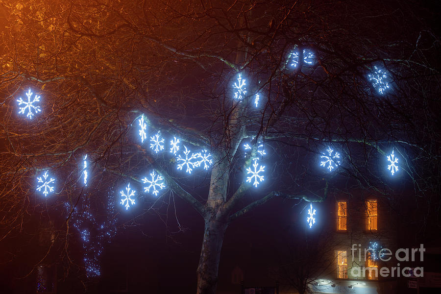 Christmas Snowflake Lights Photograph by Tim Gainey