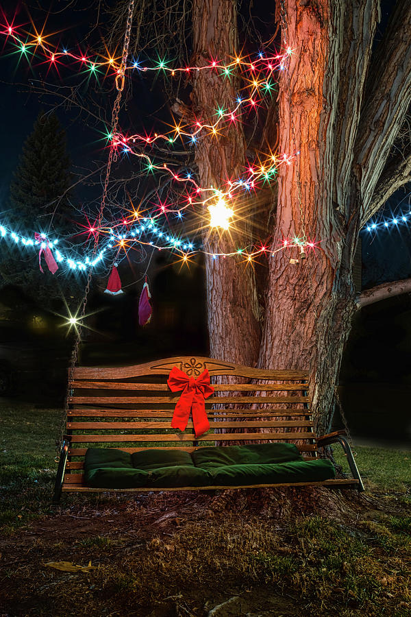 Christmas Swing Photograph by James BO Insogna