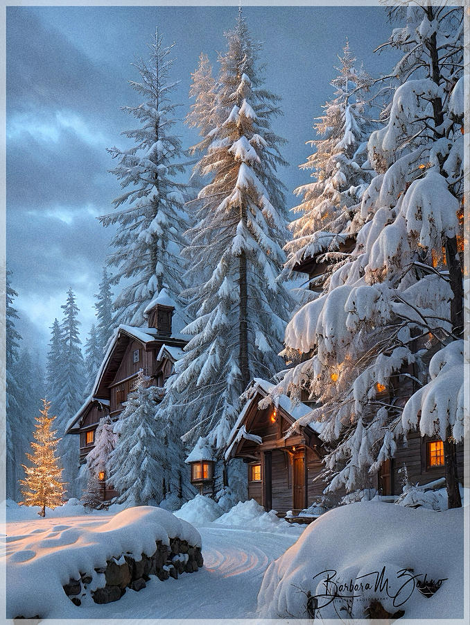 Christmas Time at the Mountains  Photograph by Barbara Zahno