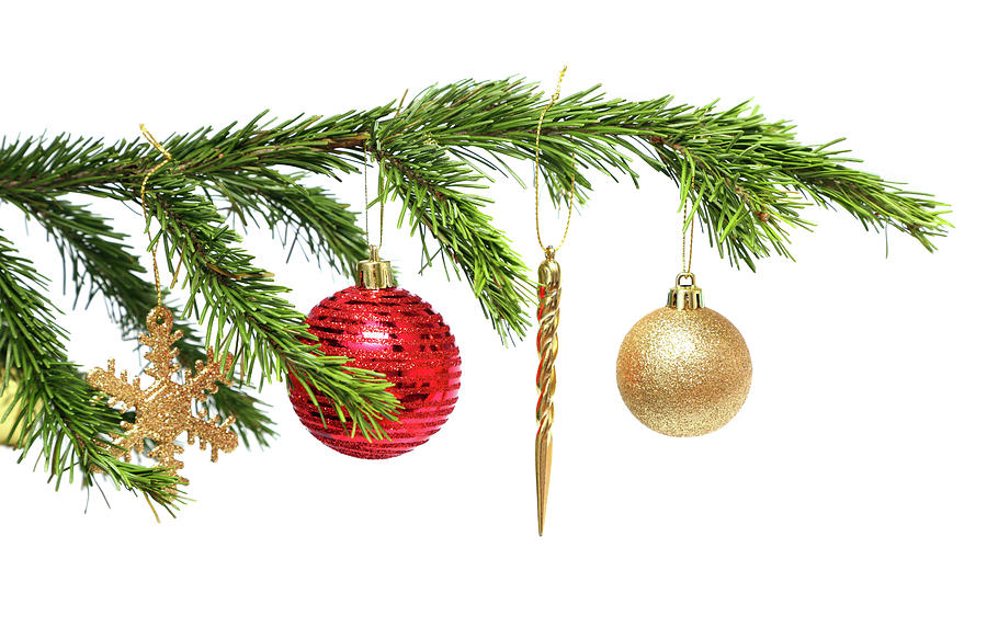 Christmas Toys On Fir Twig Over White Photograph by Mikhail Kokhanchikov
