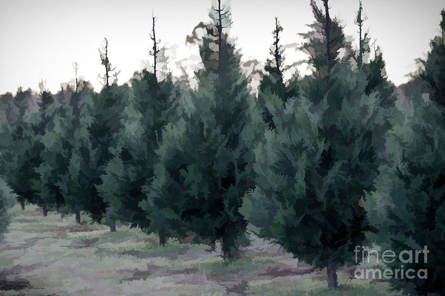 Christmas Tree 6 #painting Photograph by Andrea Anderegg