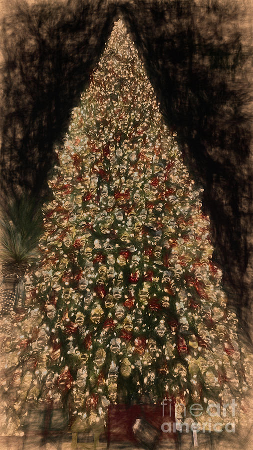 Christmas Tree-9 Photograph by Mark Jackson