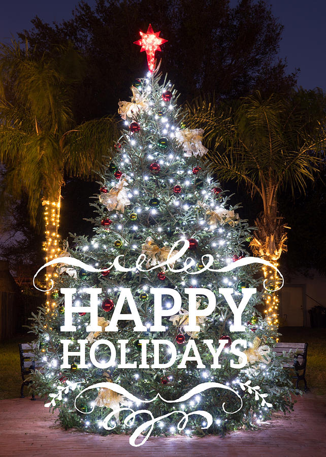 Christmas Tree and Palms Happy Holidays Card Photograph by Dawna Moore Photography
