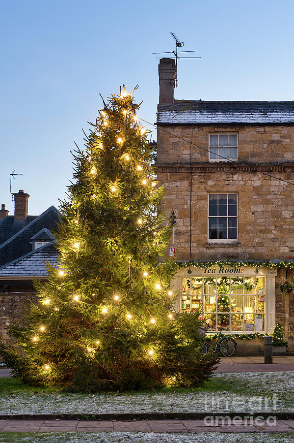 Christmas Tree and Tisanes Tea Rooms in Broadway Photograph by Tim Gainey
