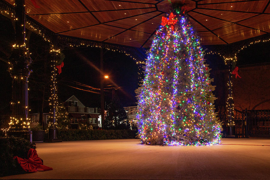 Christmas Tree at Cape May Rotary Park Photograph by Kristia Adams