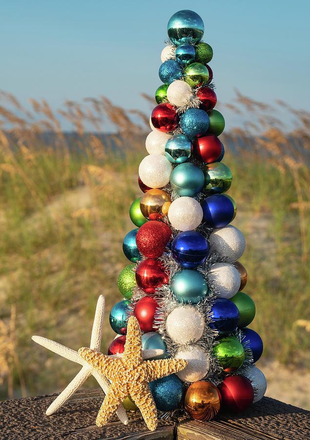 Christmas Tree at the Beach Holiday Greeting Card Photograph by Dawna Moore Photography