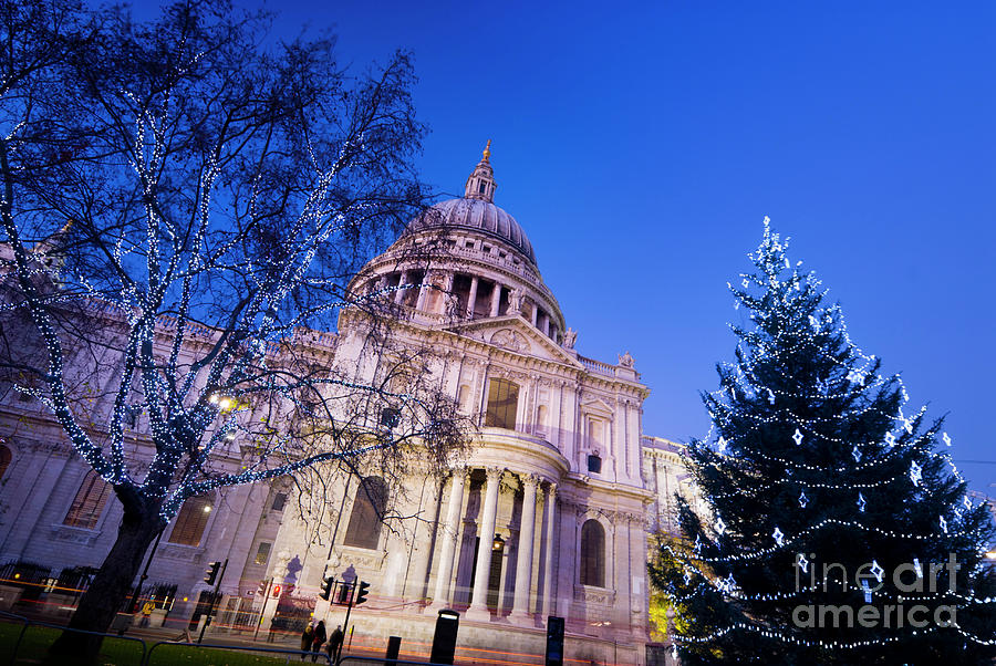 Christmas tree beneath St Paul's Cathedral, London Photograph by Justin