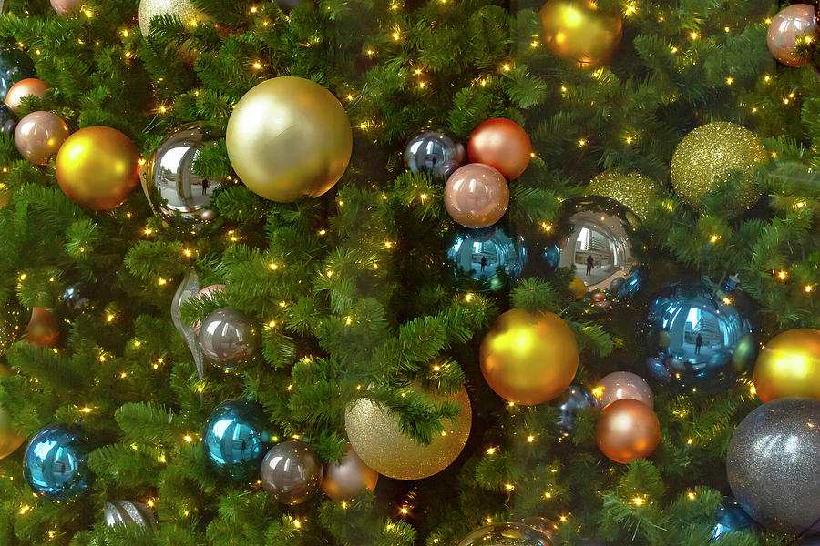 Christmas Tree Cheer-1 Photograph by Bonnie Follett