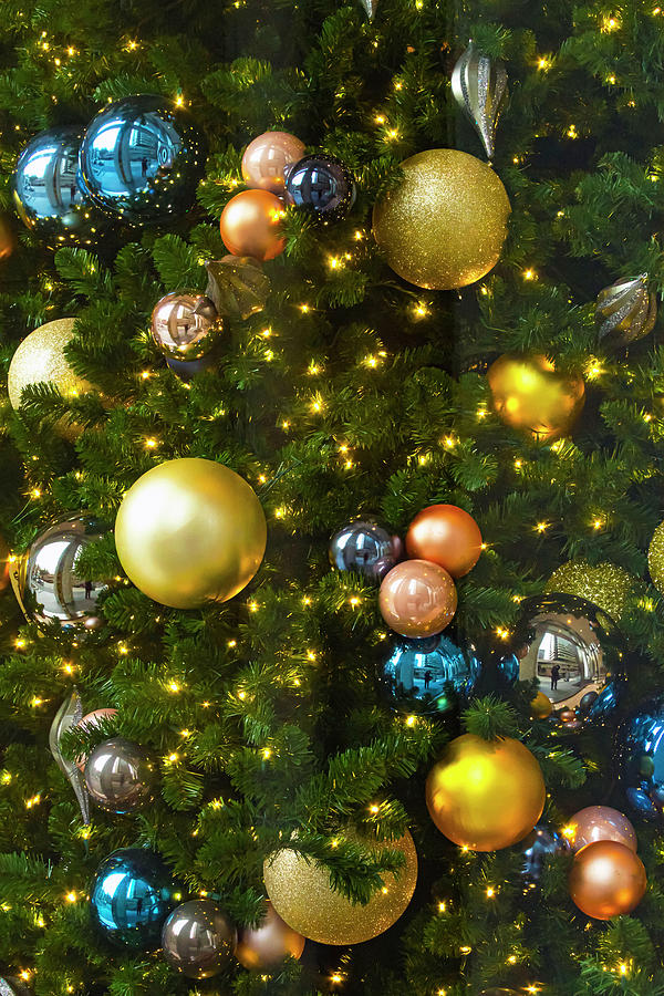 Christmas Tree Cheer-3 Photograph by Bonnie Follett