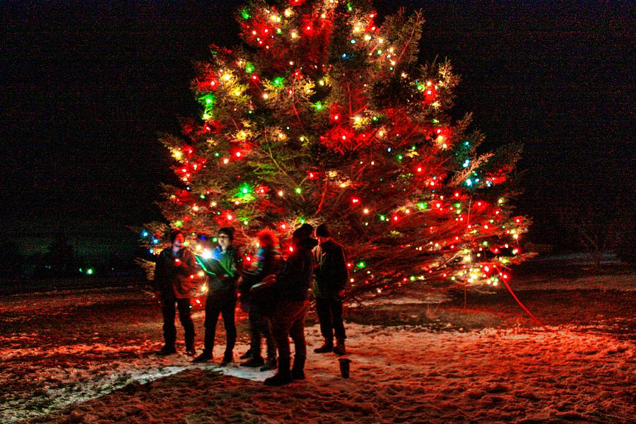 Christmas Tree  Photograph by David Matthews