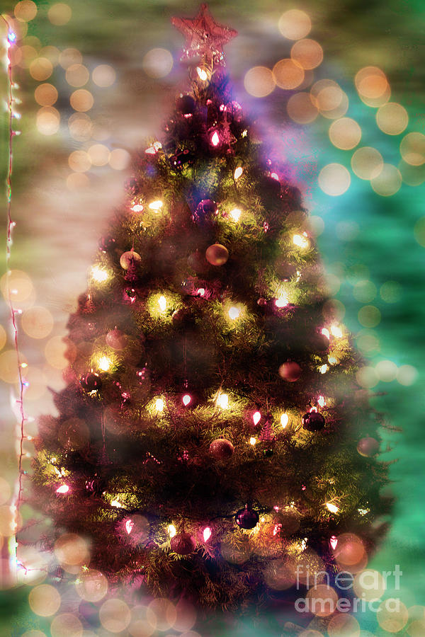 Christmas Tree Fantasy Photograph by Janie Johnson