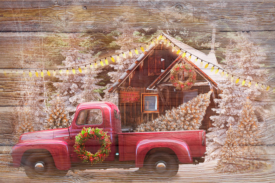 Christmas Tree Farm in Wood Textures Photograph by Debra and Dave Vanderlaan