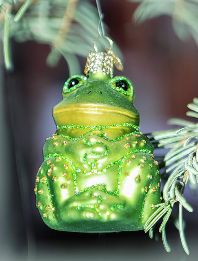 Christmas Photograph - Christmas Tree Frog by Her Arts Desire