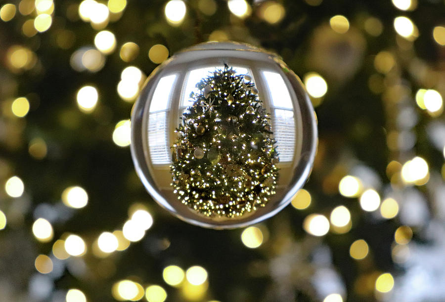Christmas Tree in Lensball Photograph by David T Wilkinson