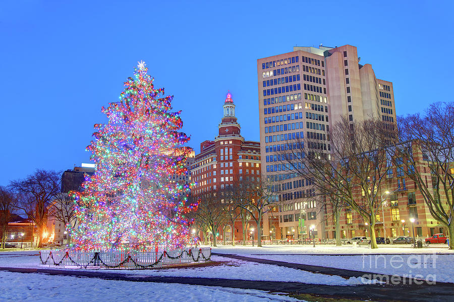 Christmas Tree in New Haven Photograph by Denis Tangney Jr