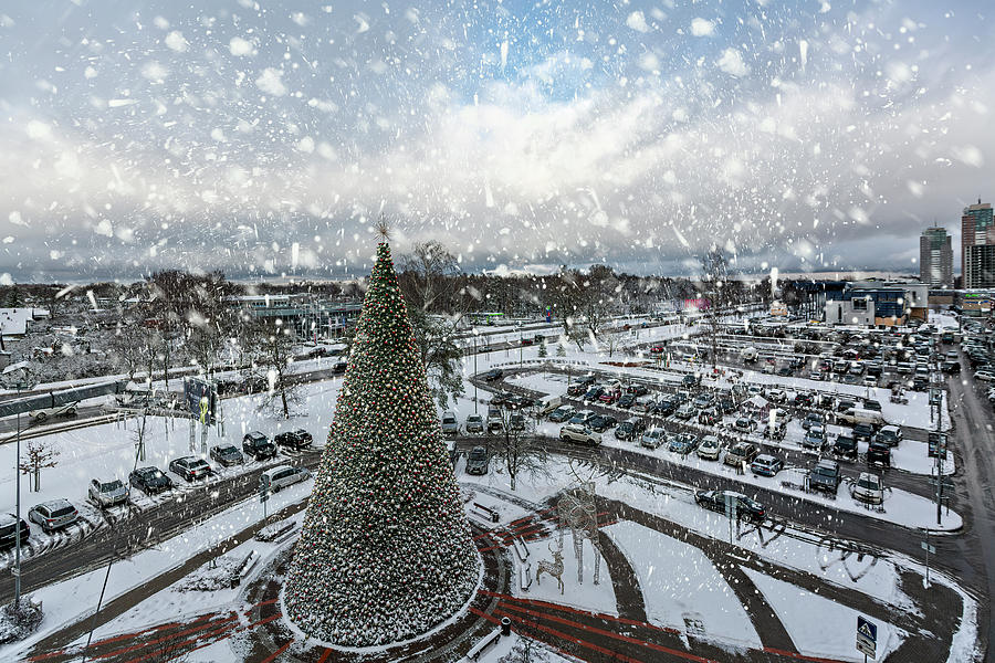 Christmas Tree In My Capital Riga . Photograph by Aleksandrs Drozdovs