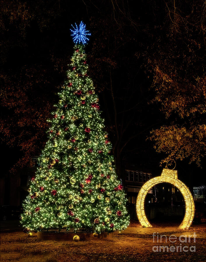 Christmas Tree in the Square Photograph by Nick Zelinsky Jr
