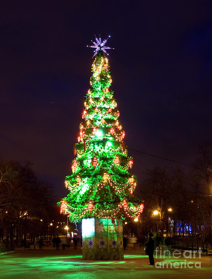 Christmas tree Photograph by Irina Afonskaya