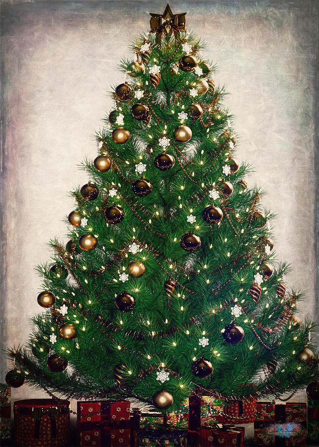 Christmas Tree Digital Art by Jennifer Donohoe - Pixels