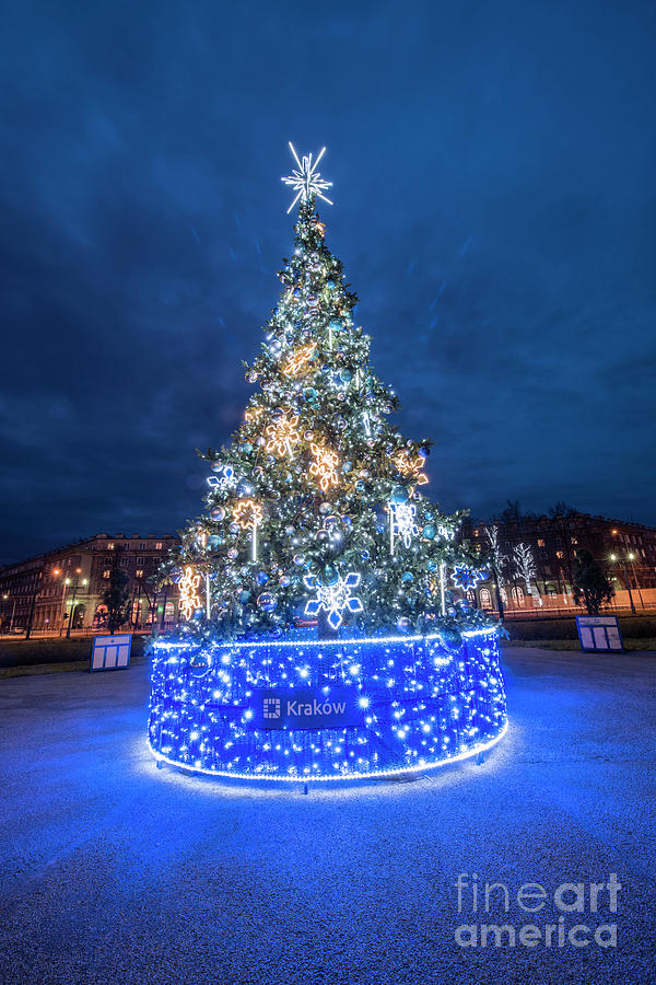 Architecture Photograph - Christmas Tree by Juli Scalzi