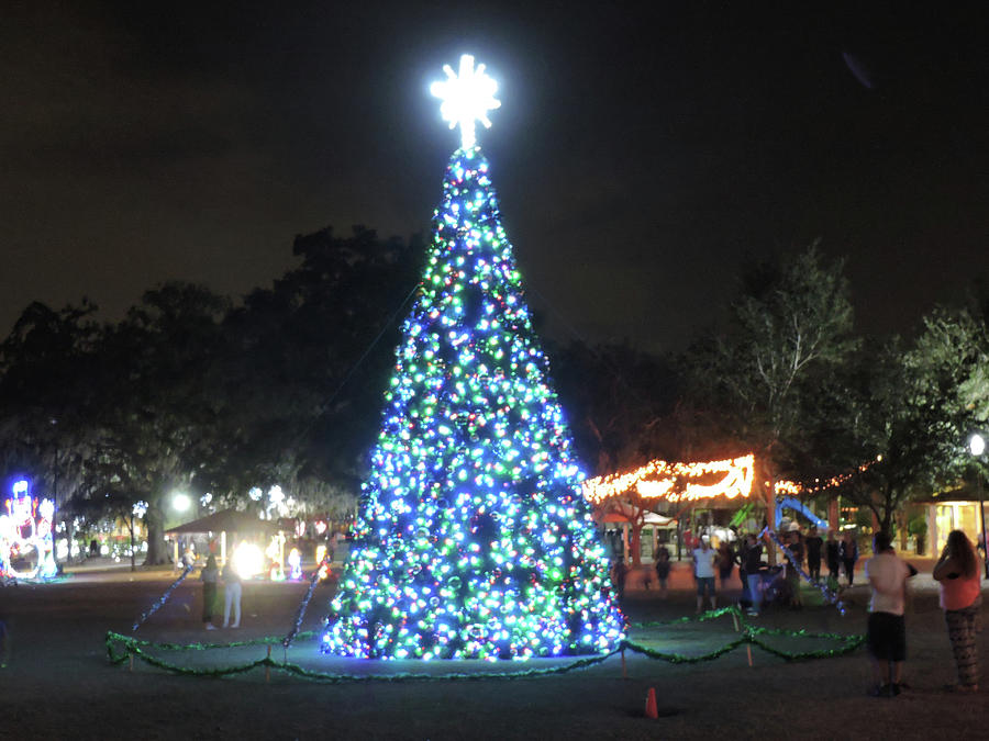 Christmas Tree Largo Central Park Photograph by Paul Reinig Fine Art