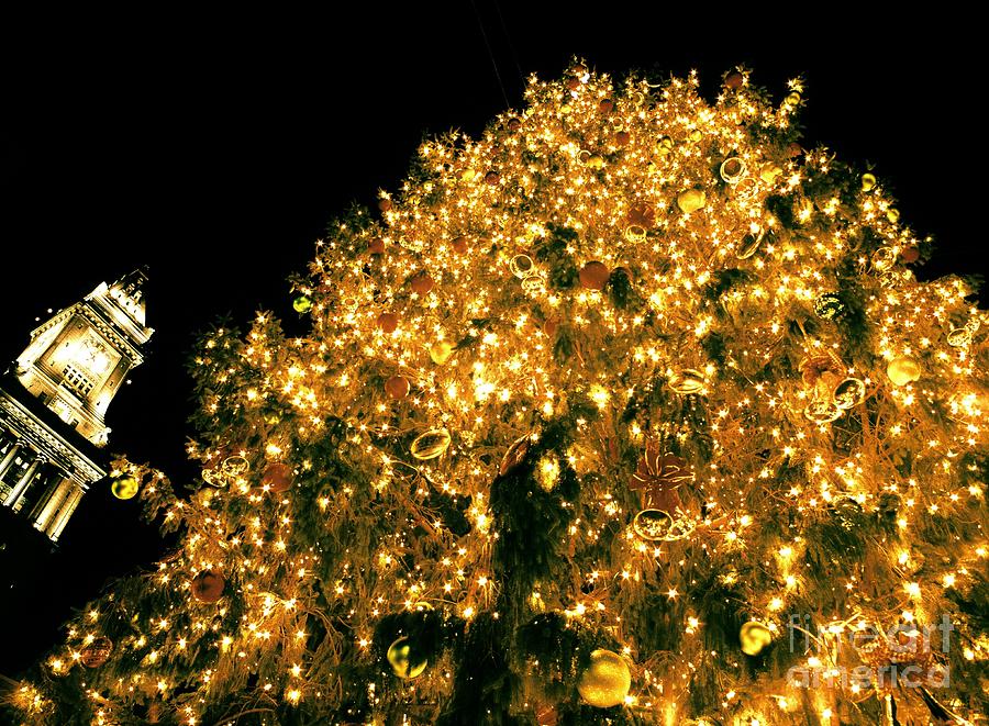 Christmas tree lighting at Quincy Market, Boston Photograph by Michael