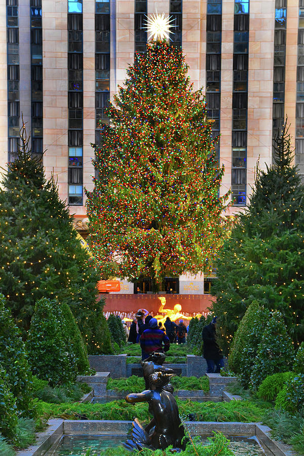 Christmas Tree, New York City Photograph by Jerry Griffin